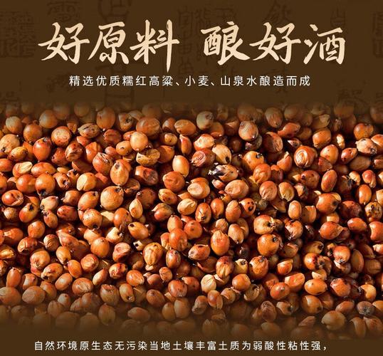 鄒廠長貴州醬香型白酒 大桶裝里的匠心與醇厚